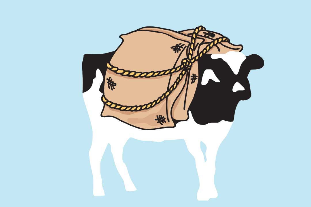 Woodie con sacchi sulla schiena